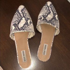 Steve madden Snakeskin mules